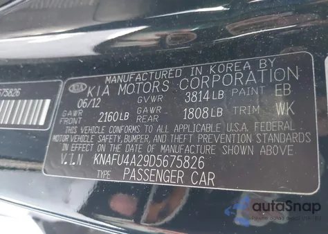 2013 Kia Forte Ex из США, поврежденный, VIN KNAFU4A29D5675826